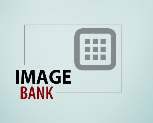 Image Bank